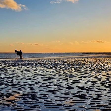 Petit Prince Berck エクステリア 写真